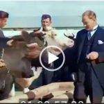 “ Su neden boşa akıyor.. ?”